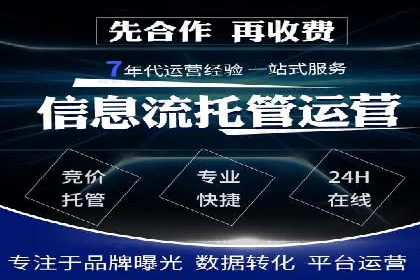 谷歌SEM案例研究：数据分析与效果评估